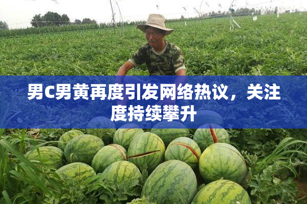 男C男黄再度引发网络热议，关注度持续攀升