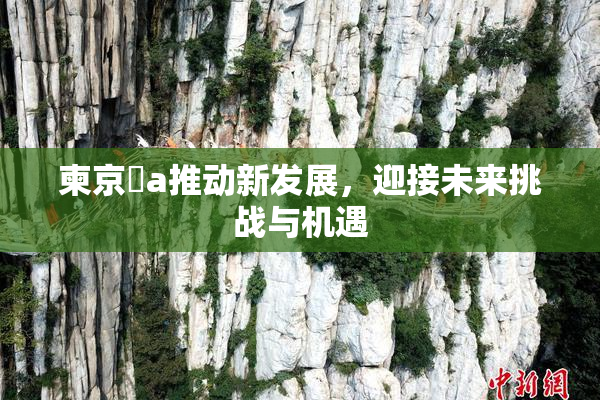 柬京埶a推动新发展，迎接未来挑战与机遇