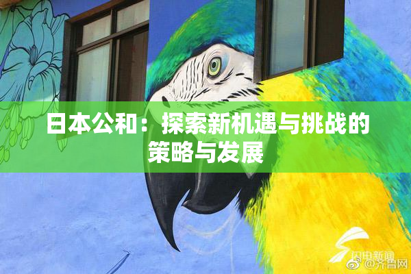 日本公和：探索新机遇与挑战的策略与发展