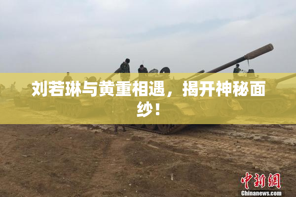 刘若琳与黄重相遇，揭开神秘面纱！