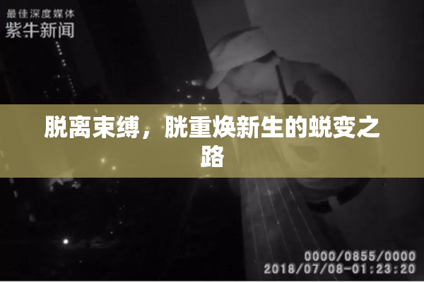 脱离束缚，胱重焕新生的蜕变之路