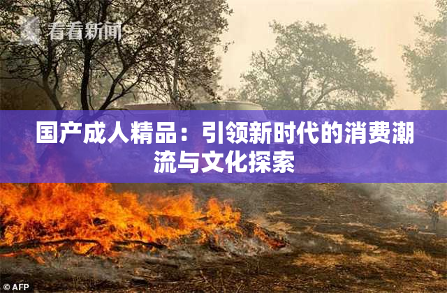 国产成人精品：引领新时代的消费潮流与文化探索