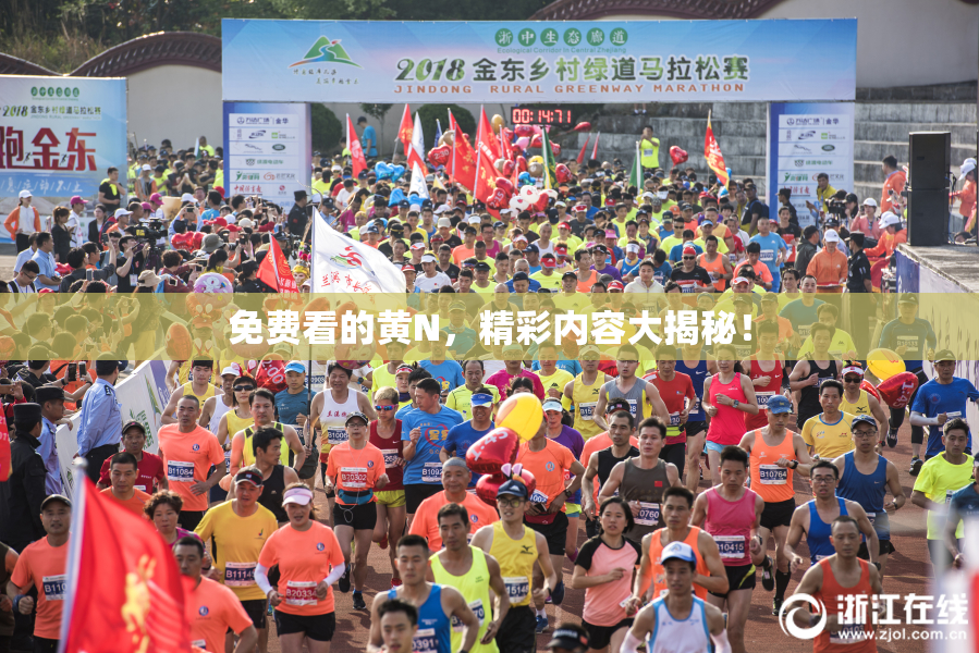 免费看的黄Ν，精彩内容大揭秘！