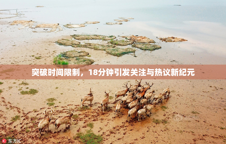 突破时间限制，18分钟引发关注与热议新纪元
