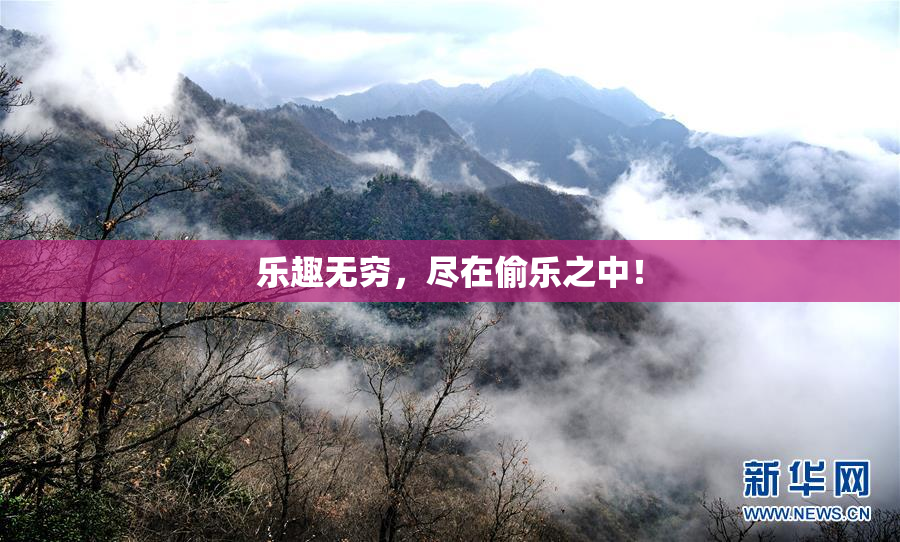 乐趣无穷，尽在偷乐之中！