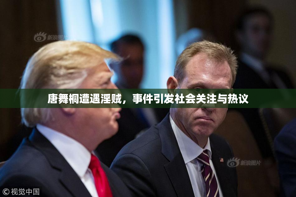 唐舞桐遭遇淫贼，事件引发社会关注与热议