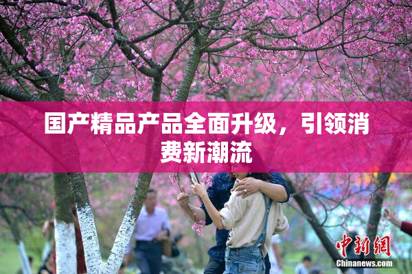 国产精品产品全面升级，引领消费新潮流