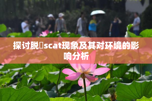 探讨脱糞scat现象及其对环境的影响分析