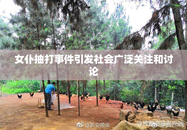 女仆抽打事件引发社会广泛关注和讨论