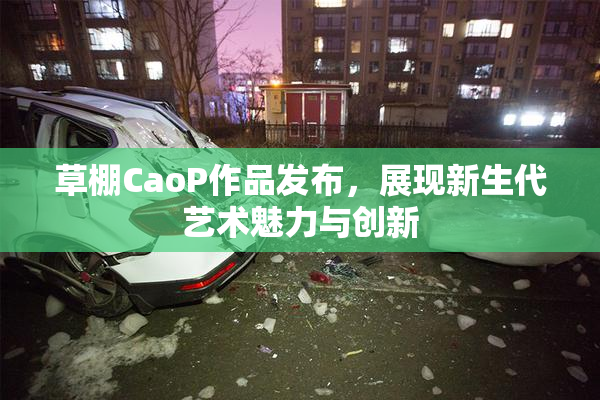 草棚CaoP作品发布，展现新生代艺术魅力与创新