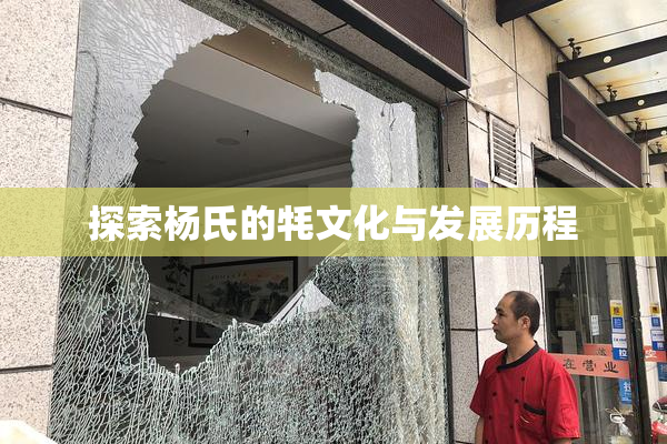 探索杨氏的牦文化与发展历程