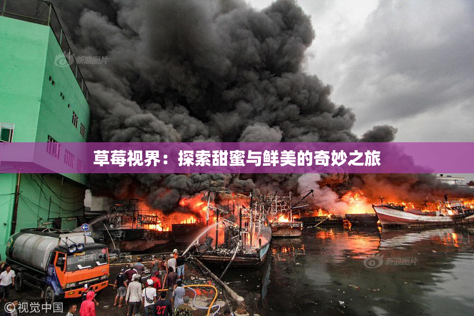 草莓视界：探索甜蜜与鲜美的奇妙之旅