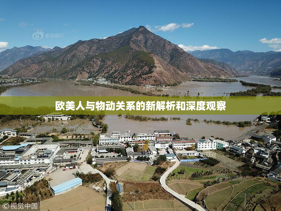 欧美人与物动关系的新解析和深度观察