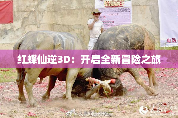 红蝶仙逆3D：开启全新冒险之旅
