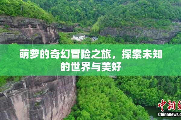 萌萝的奇幻冒险之旅，探索未知的世界与美好