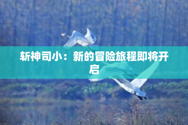斩神司小：新的冒险旅程即将开启