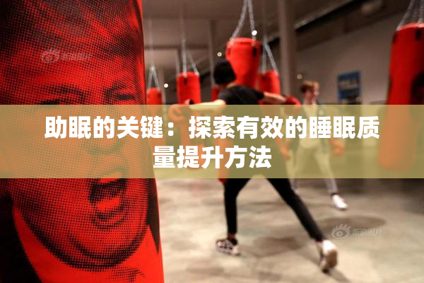 助眠的关键：探索有效的睡眠质量提升方法
