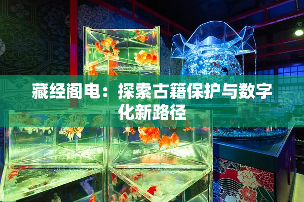 藏经阁电：探索古籍保护与数字化新路径