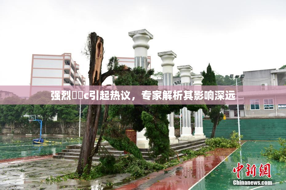 强烈❌‌c引起热议，专家解析其影响深远