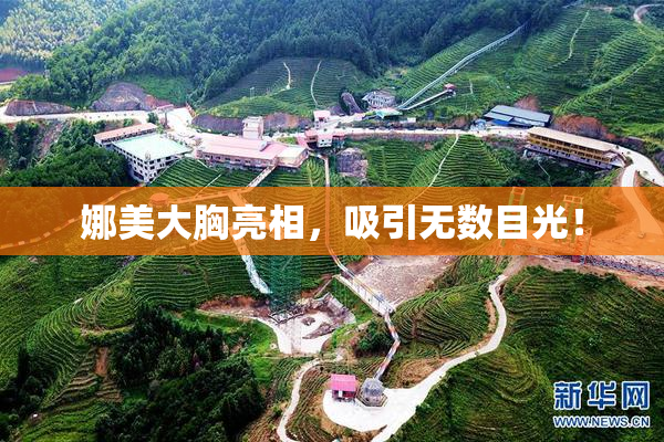娜美大胸亮相，吸引无数目光！