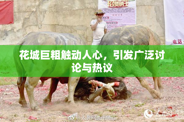 花城巨粗触动人心，引发广泛讨论与热议