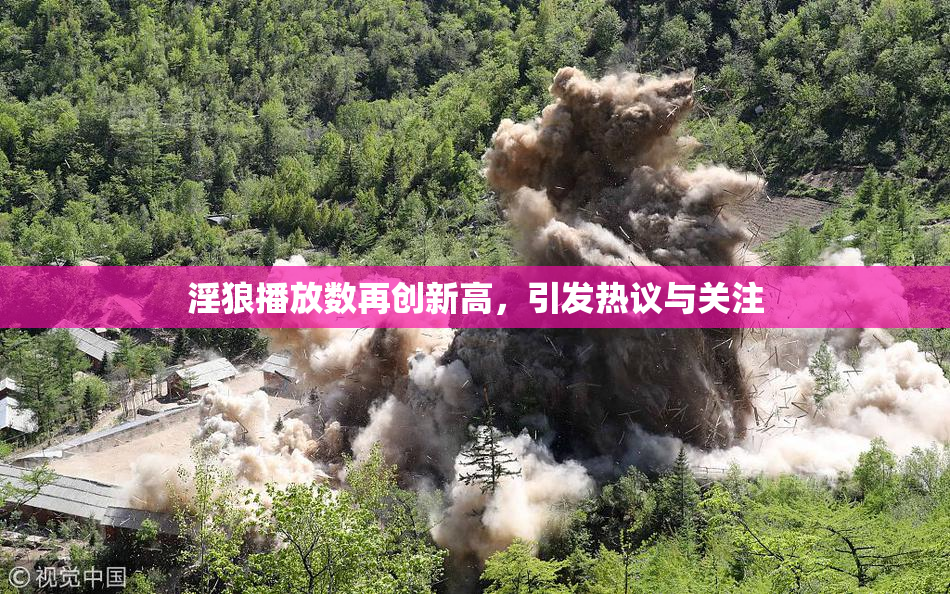 淫狼播放数再创新高，引发热议与关注