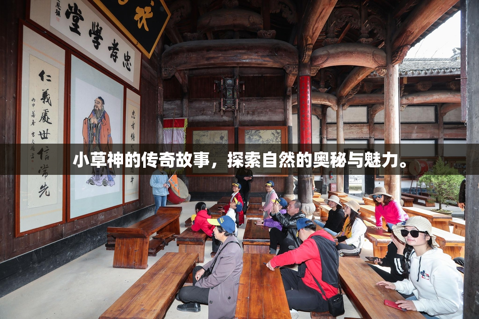 小草神的传奇故事，探索自然的奥秘与魅力。