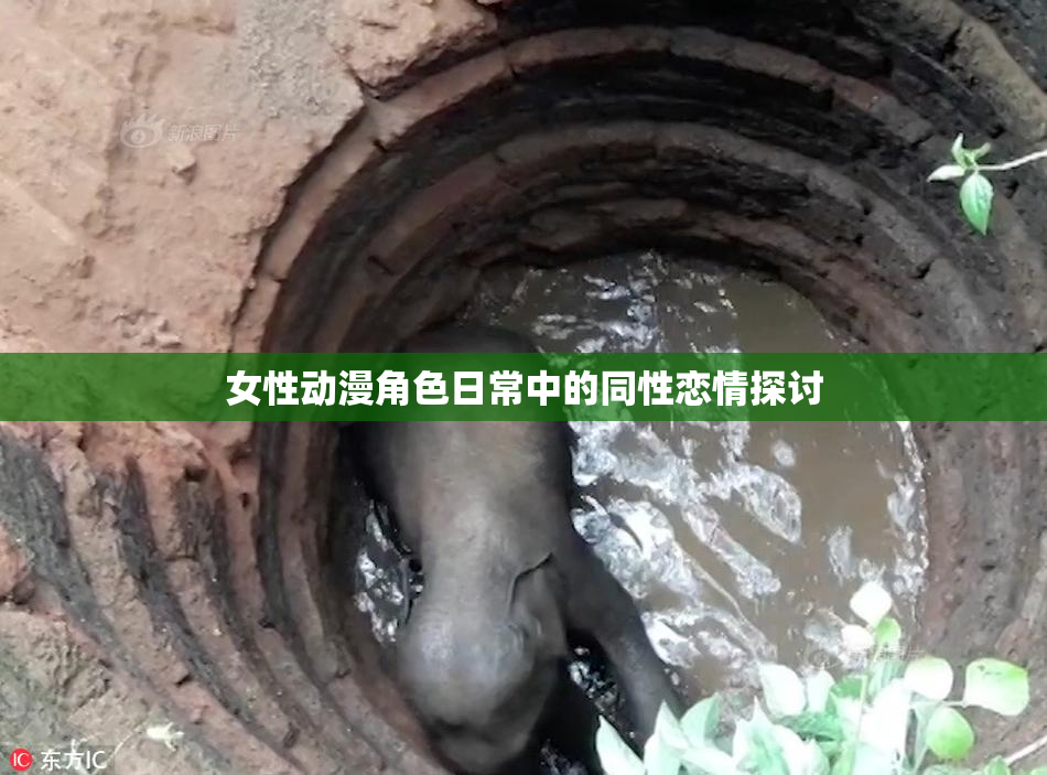 女性动漫角色日常中的同性恋情探讨