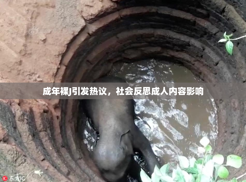 成年裸J引发热议，社会反思成人内容影响