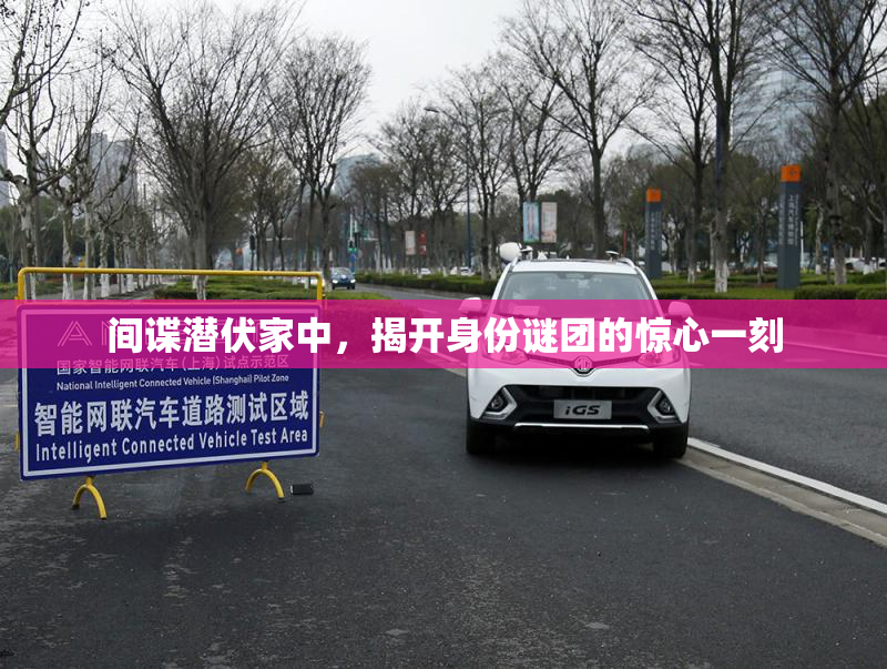 间谍潜伏家中，揭开身份谜团的惊心一刻