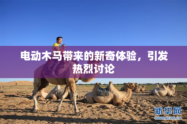 电动木马带来的新奇体验，引发热烈讨论