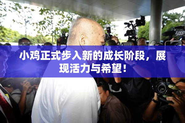 小鸡正式步入新的成长阶段，展现活力与希望！