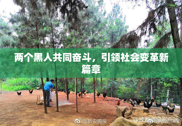 两个黑人共同奋斗，引领社会变革新篇章