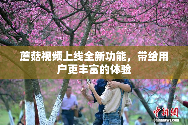 蘑菇视频上线全新功能，带给用户更丰富的体验