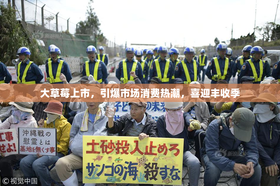 大草莓上市，引爆市场消费热潮，喜迎丰收季