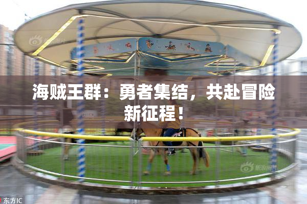 海贼王群：勇者集结，共赴冒险新征程！