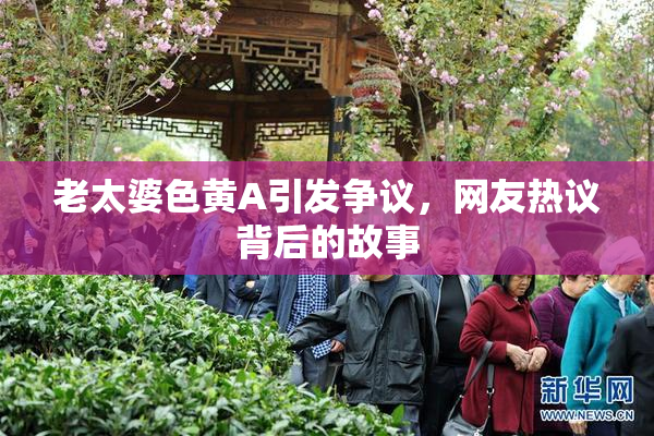 老太婆色黄A引发争议，网友热议背后的故事