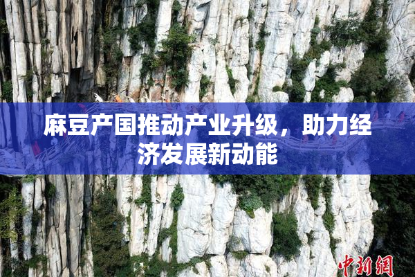 麻豆产国推动产业升级，助力经济发展新动能