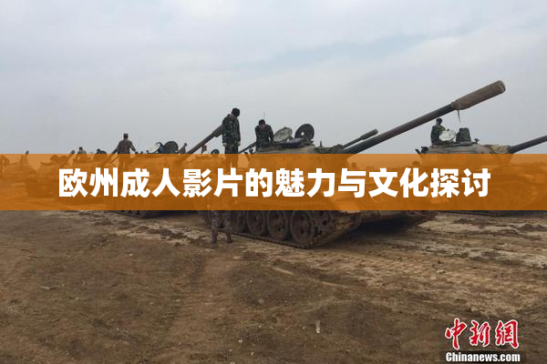 欧州成人影片的魅力与文化探讨