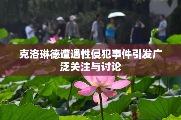 克洛琳德遭遇性侵犯事件引发广泛关注与讨论