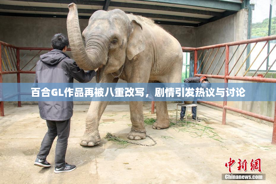 百合GL作品再被八重改写，剧情引发热议与讨论