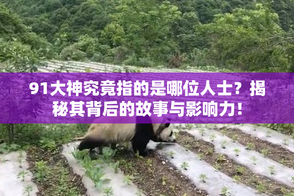 91大神究竟指的是哪位人士？揭秘其背后的故事与影响力！