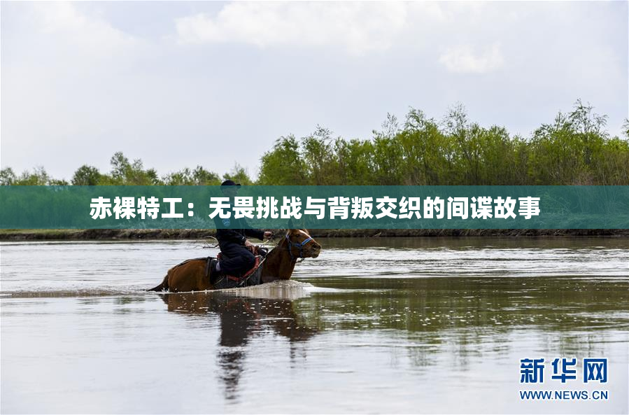 赤裸特工：无畏挑战与背叛交织的间谍故事