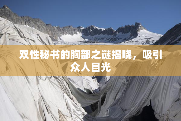 双性秘书的胸部之谜揭晓，吸引众人目光
