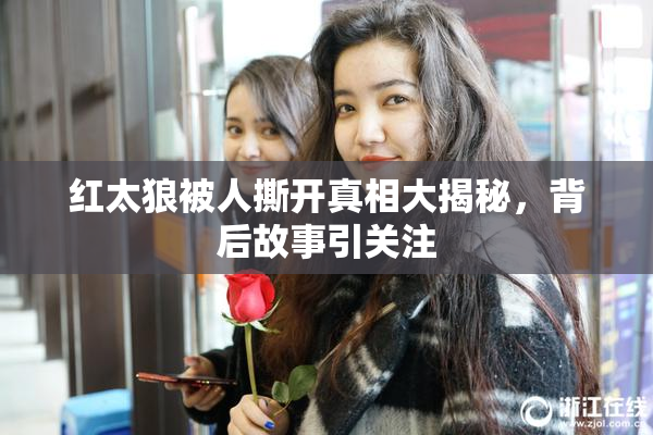 红太狼被人撕开真相大揭秘，背后故事引关注