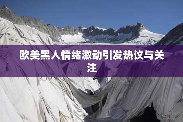 欧美黑人情绪激动引发热议与关注