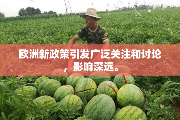 欧洲新政策引发广泛关注和讨论，影响深远。