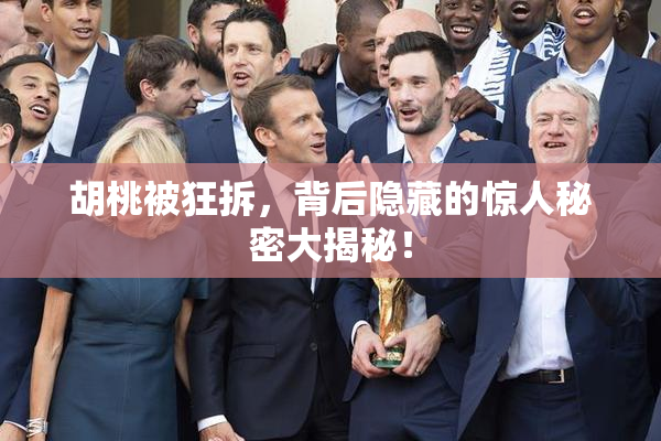 胡桃被狂拆，背后隐藏的惊人秘密大揭秘！