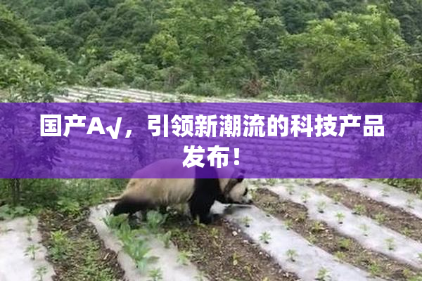 国产A√，引领新潮流的科技产品发布！