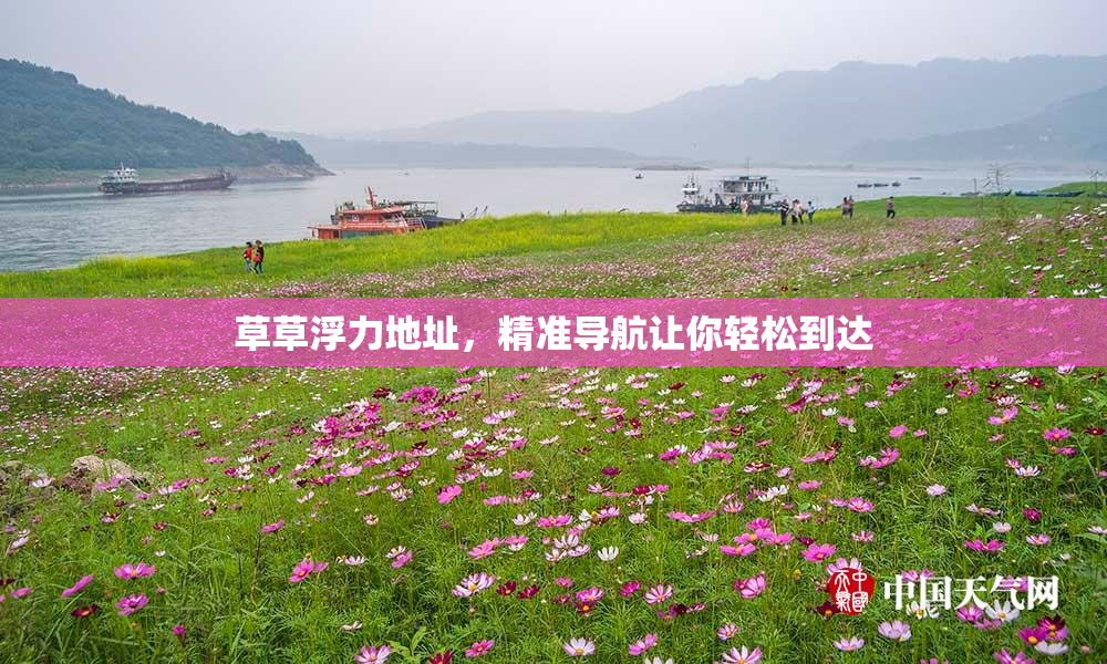 草草浮力地址，精准导航让你轻松到达